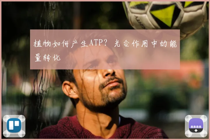 植物如何产生ATP？光合作用中的能量转化