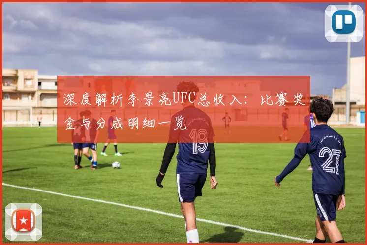 深度解析李景亮UFC总收入：比赛奖金与分成明细一览