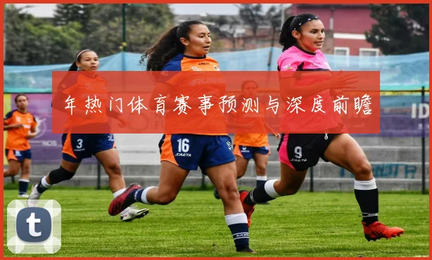 年热门体育赛事预测与深度前瞻