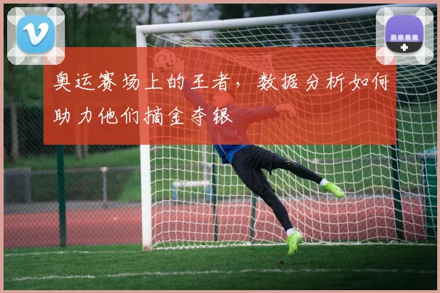奥运赛场上的王者，数据分析如何助力他们摘金夺银