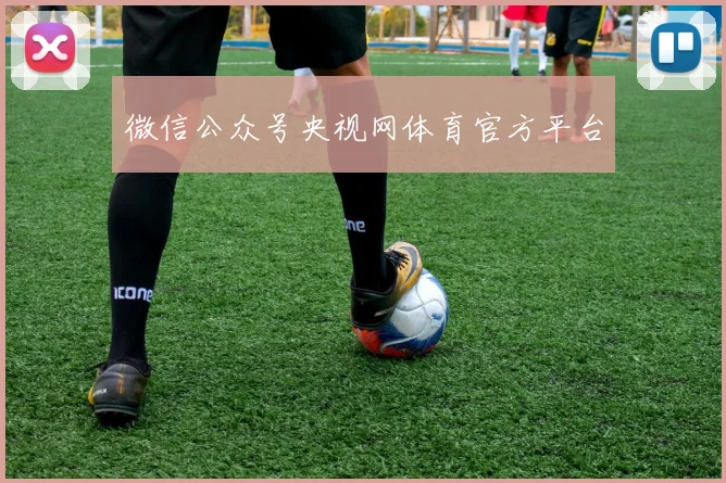 微信公众号央视网体育官方平台
