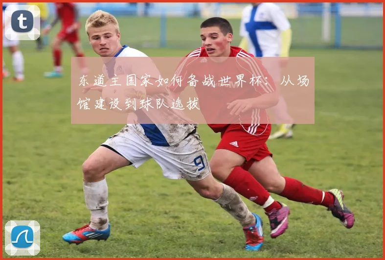 东道主国家如何备战世界杯：从场馆建设到球队选拔
