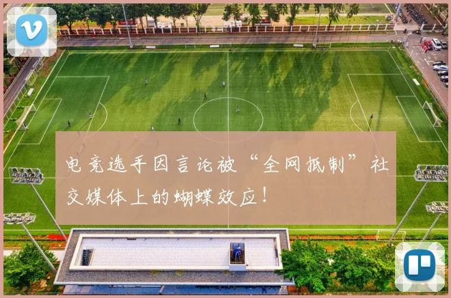 电竞选手因言论被“全网抵制”社交媒体上的蝴蝶效应！