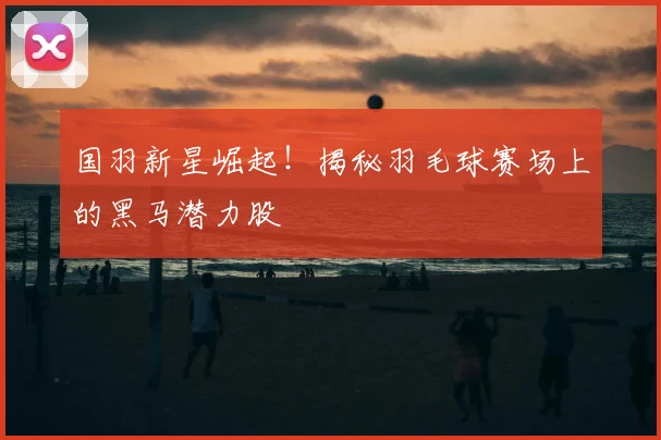 国羽新星崛起!揭秘羽毛球赛场上的黑马潜力股