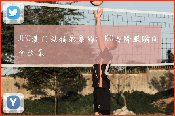 UFC澳门站精彩集锦：KO与降服瞬间全收录