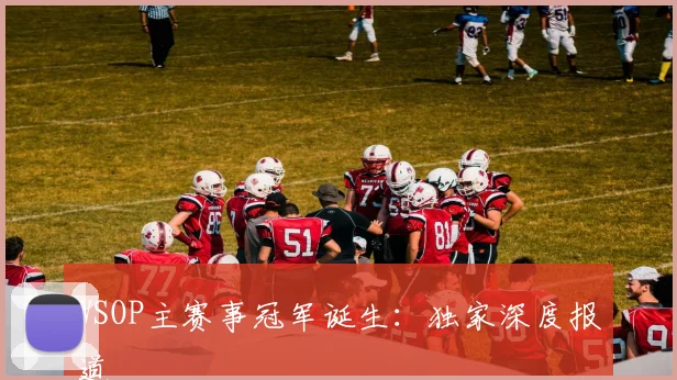WSOP主赛事冠军诞生：独家深度报道
