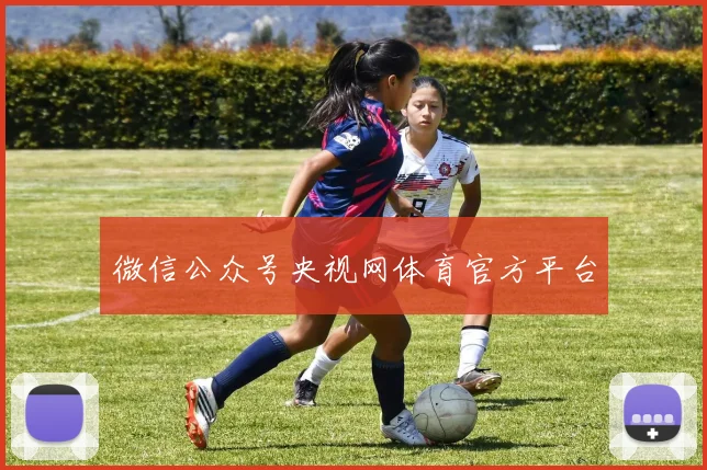微信公众号央视网体育官方平台