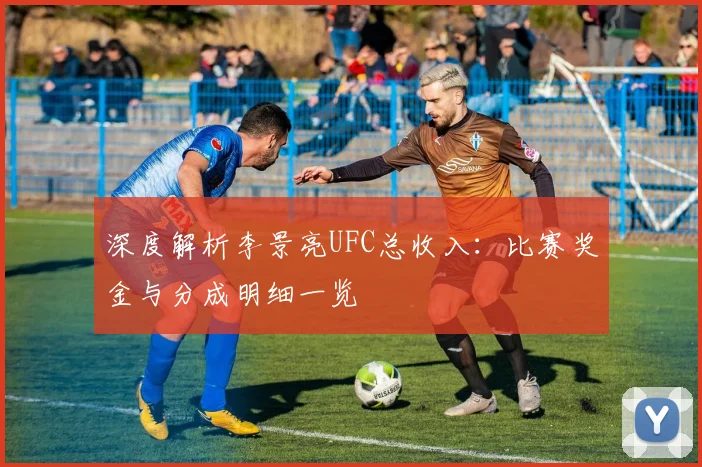 深度解析李景亮UFC总收入：比赛奖金与分成明细一览