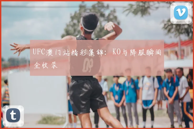 UFC澳门站精彩集锦：KO与降服瞬间全收录